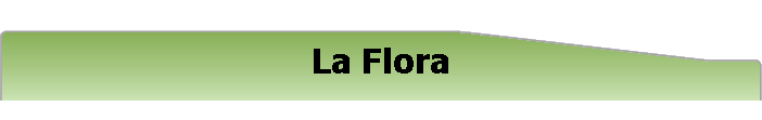 La Flora
